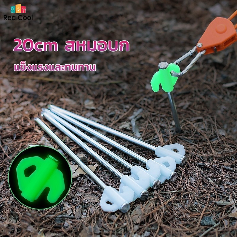 RECOOL ตะขอ กางเต้นท์ สมอบกเหล็ก หมุดยึดเต็นท์ที่จับกสะท้อนแสง ขนาด 20-25cm อุปรกรณ์เต็นท์ วัสดุเหล็กเคลือบกันสนิม ราคา 5 บาท*ส่งฟรี
