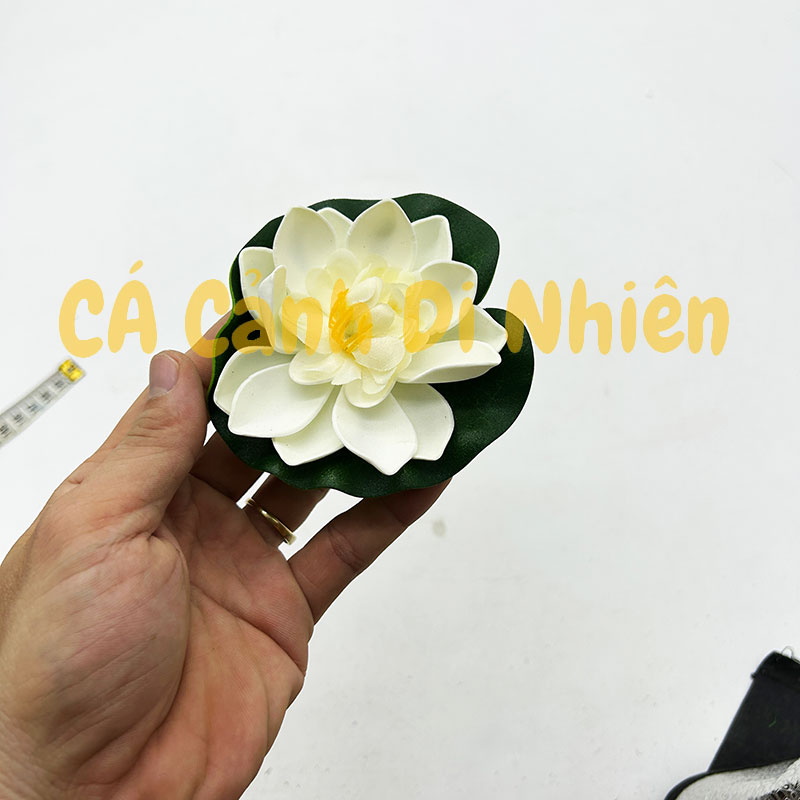 Hoa sen thả nổi mặt nước Size NHỎ BÔNG NỞ trang trí hồ cá cảnh - 4