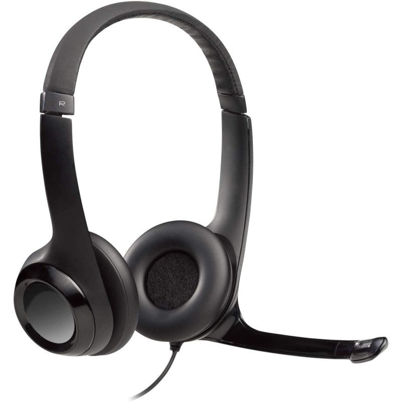 Logitech H390 USB Computer Headset Enhanced Digital Audio In line controls Singapore