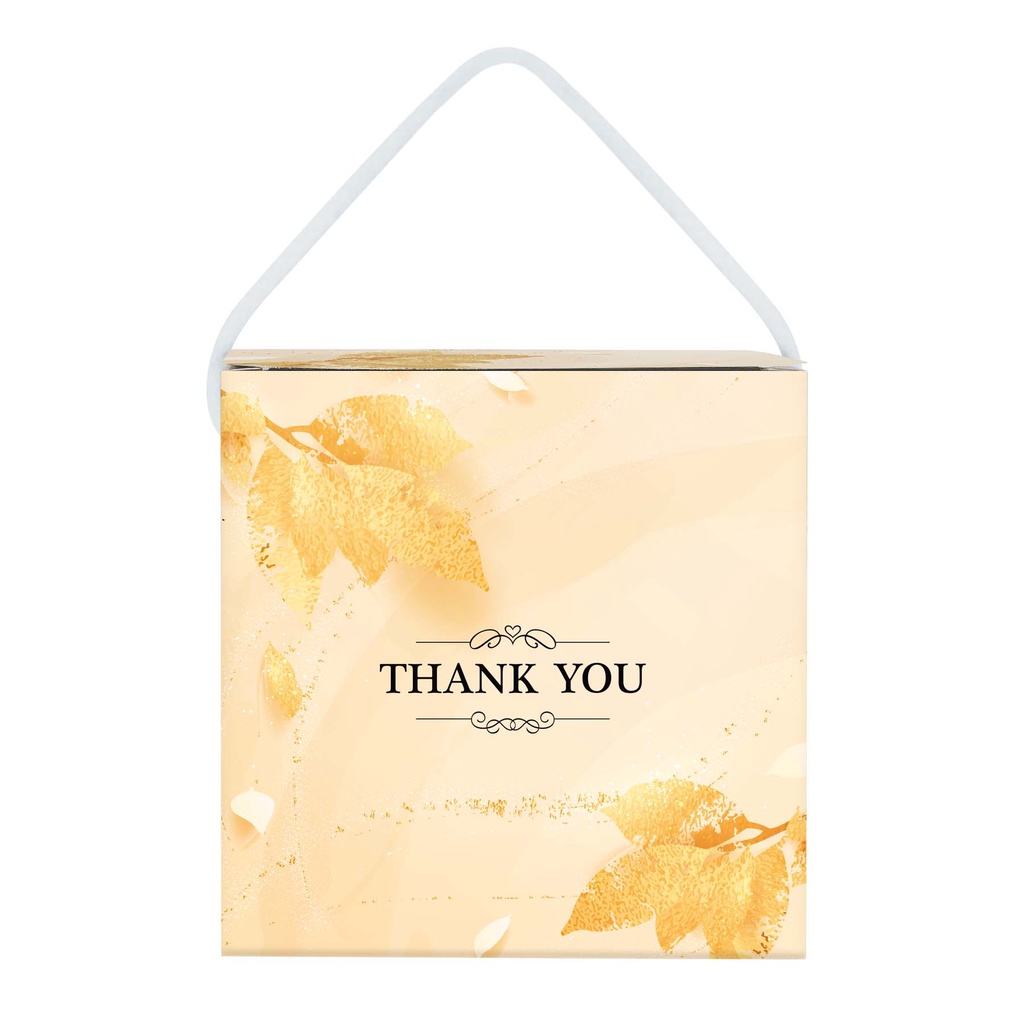 Store Age [20pcs/50pcs/100pcs] PROMOSI Thank You Wedding Box Doorgift Box Wedding Box Gift Box
