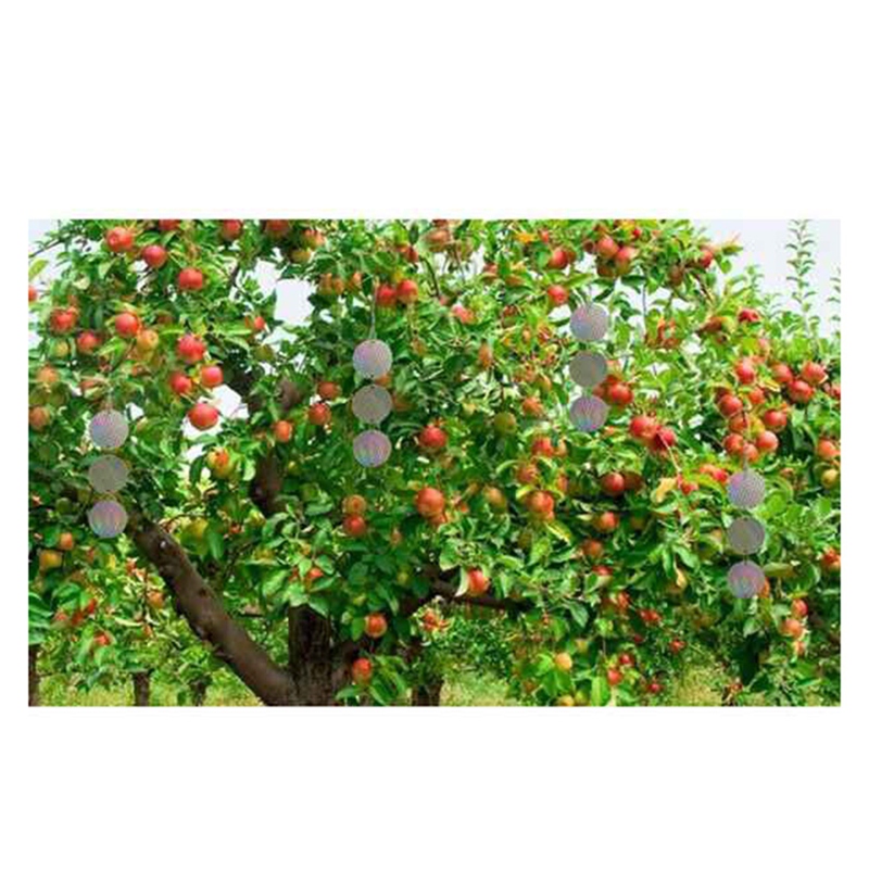 8PCS/Set Bird Repellent Discs Reflective Hanging Device to Keep Birds Away Like Wood Birds for Pigeons Wood Birds Giá 333,941 Đồng*Miễn phí vận chuyển