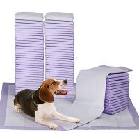 SKISOPGO Pet Training Pad Disposable Cat Dog Wee Pads Multi-layer Leak-proof Pet Diapers Alas Kencing Kucing Lapik Kucing 宠物尿垫