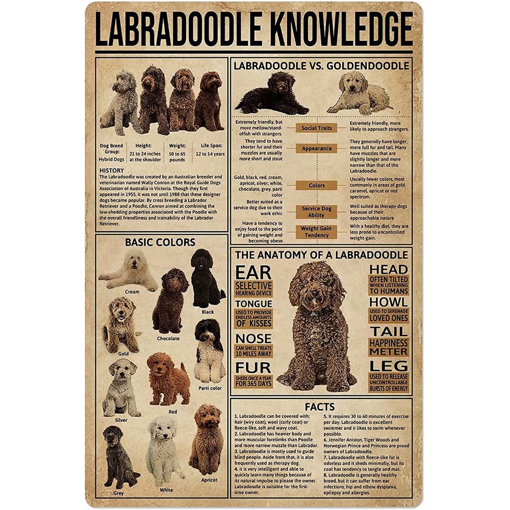 Labradoodle kiến thức kim loại dấu hiệu-Con Chó giải phẫu màu sự kiện tin Poster cho cửa hàng thú cưng Câu Lạc Bộ nhà bếp nhà để xe tường mảng bám-8x12 inch