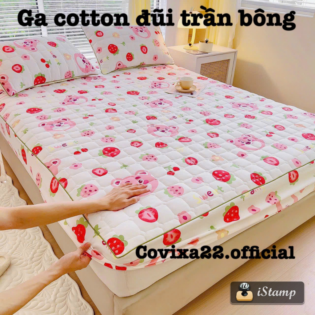 CODBộ ga gối đũi xơ đậu nành thấm hút mồ hôi, ga gối trần bông đũi cotton, kèm 2 vỏ gối