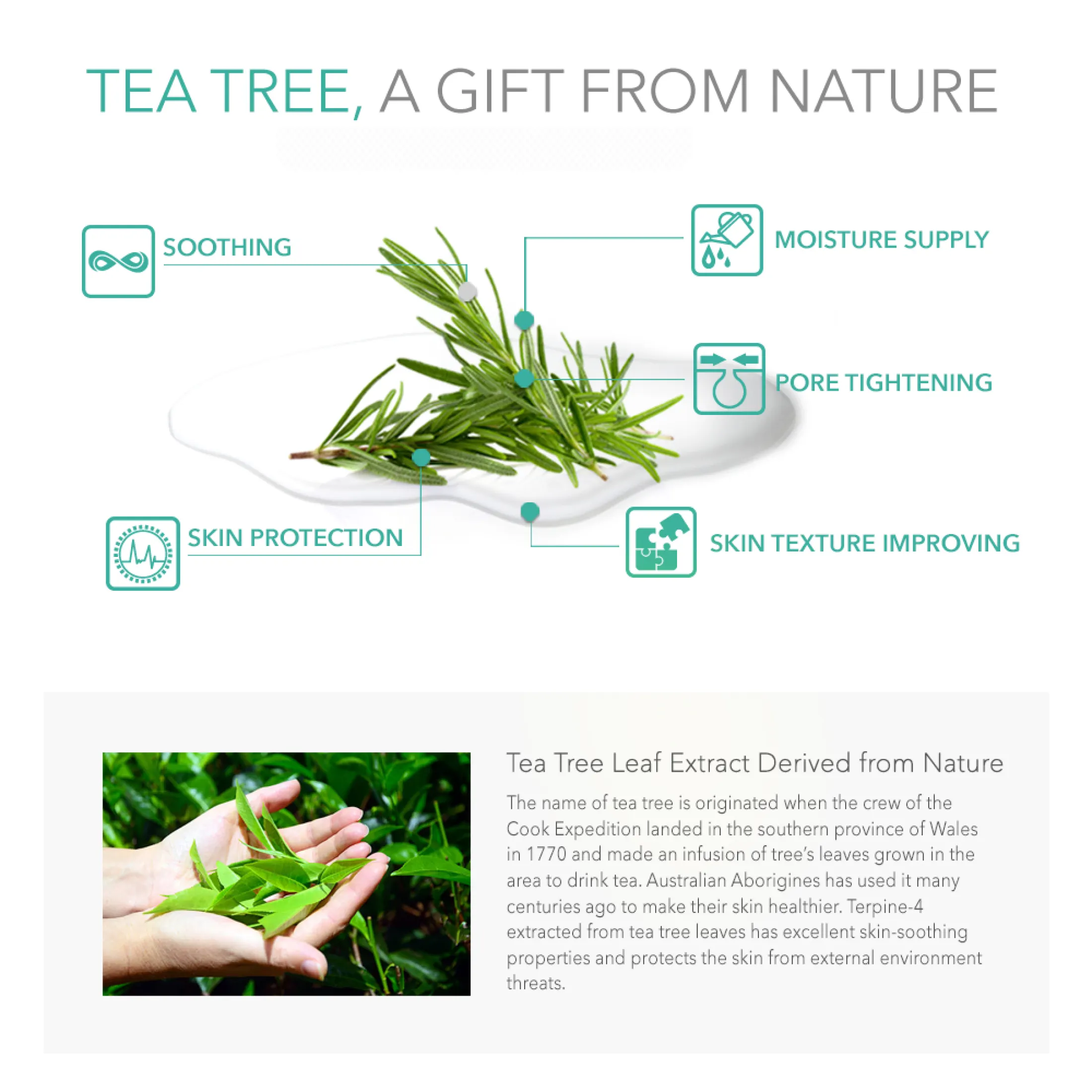 essenherb tea tree foam cleanser