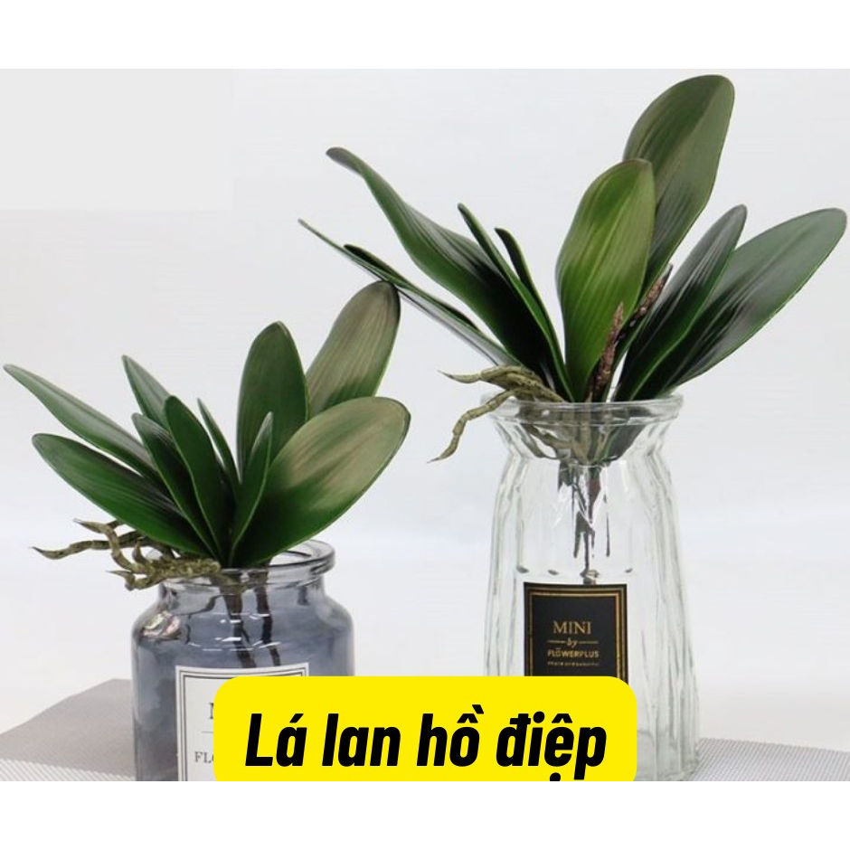 Lá giả trang trí - lá hoa lan hồ điệp giả loại 1 size lớn, lá lan giả đẹp bằng cao su, cụm 5 lá có rễ như thật