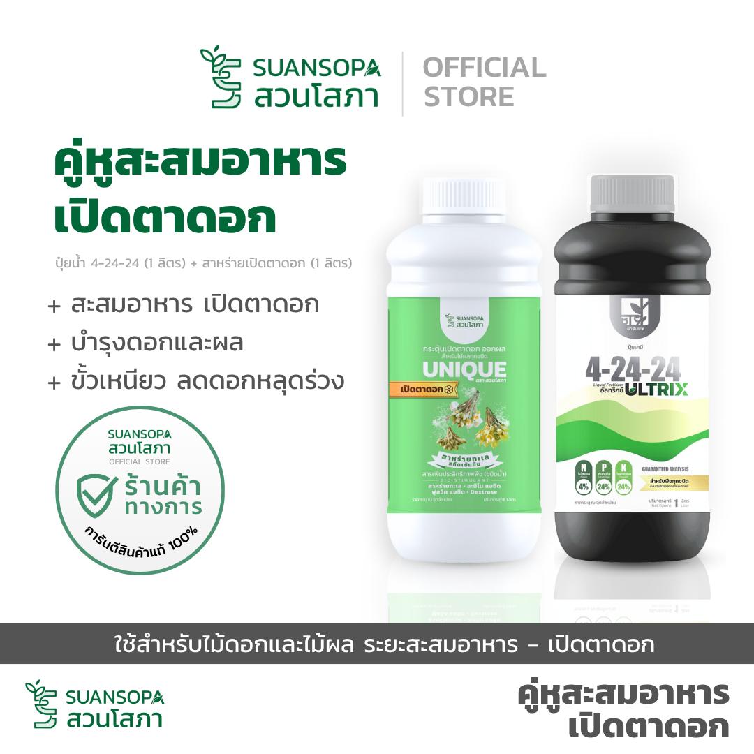 Vase Garden, a Companion Plant for Collecting Food, Opens Its Eyes to the World for Flowering Plants and Fruit Trees. Period of Food Accumulation and Flowering ราคา 1,080 บาท*ส่งฟรี