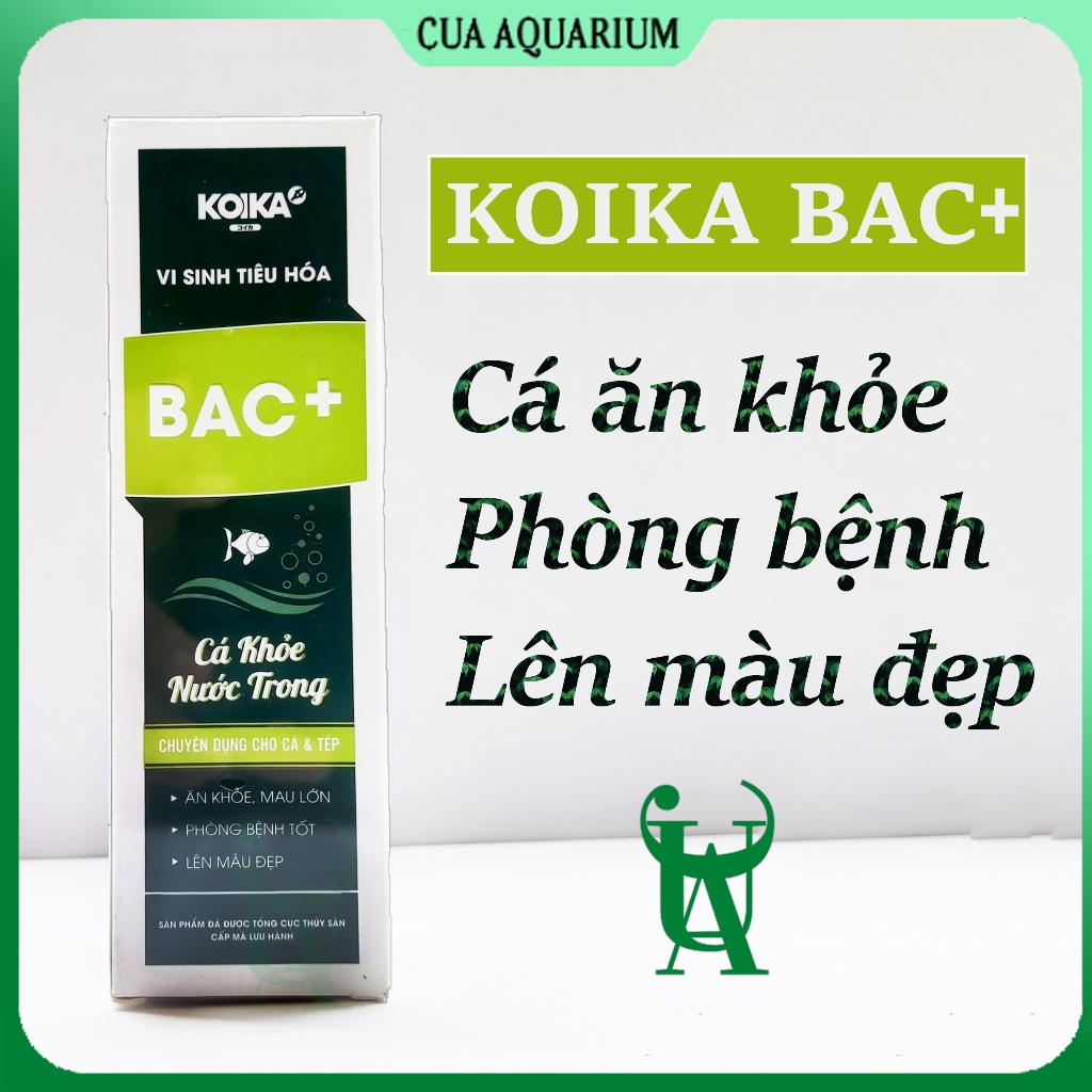 Men vi sinh tiêu hóa KOIKA BAC+ giúp cá ăn khỏe lên màu đẹp