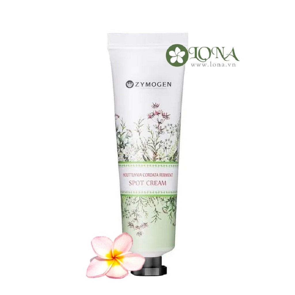 Houttuynia Cordata Ferment Spot Cream Zymogen