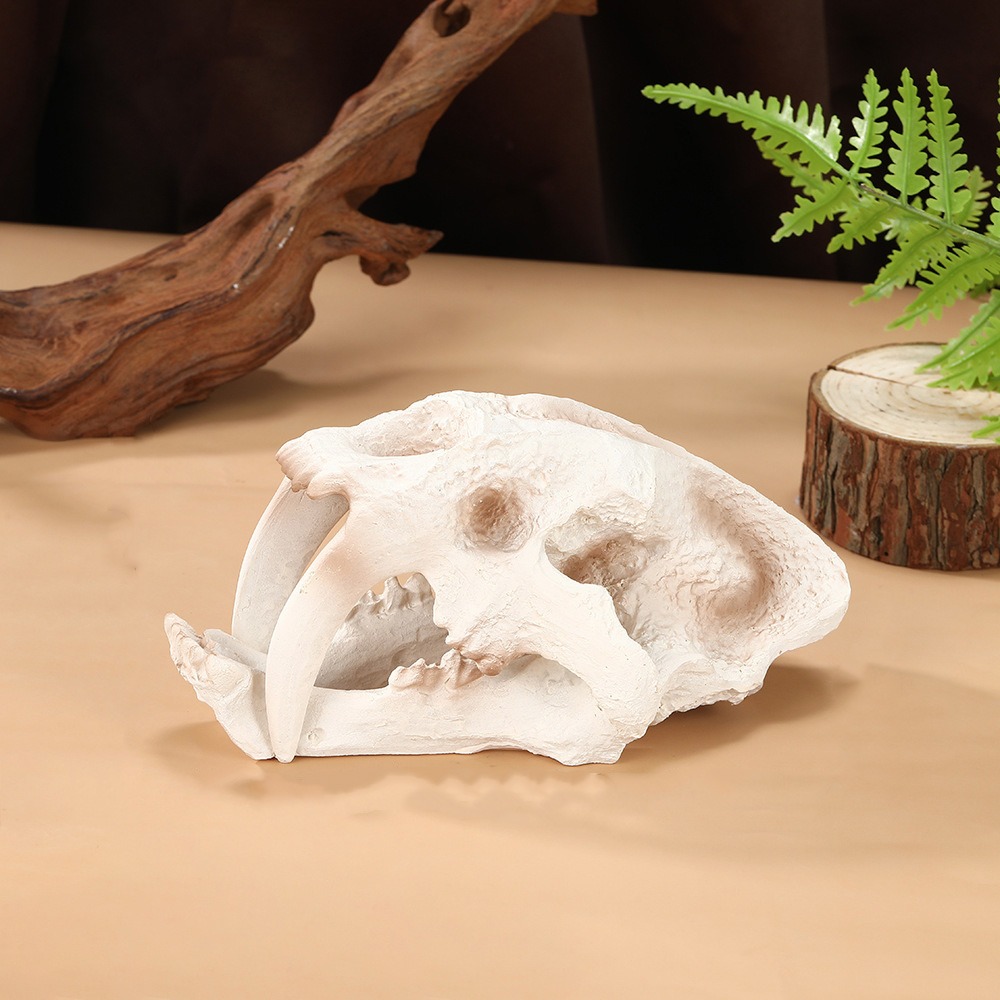 ZENDO12 Nhựa Bộ xương khủng long Mô phỏng Sống động như thật Đồ trang trí bể cá Đồ trang trí cảnh quan Trang trí Đồ trang trí đầu khủng long Cảnh quan cỏ nước - 2