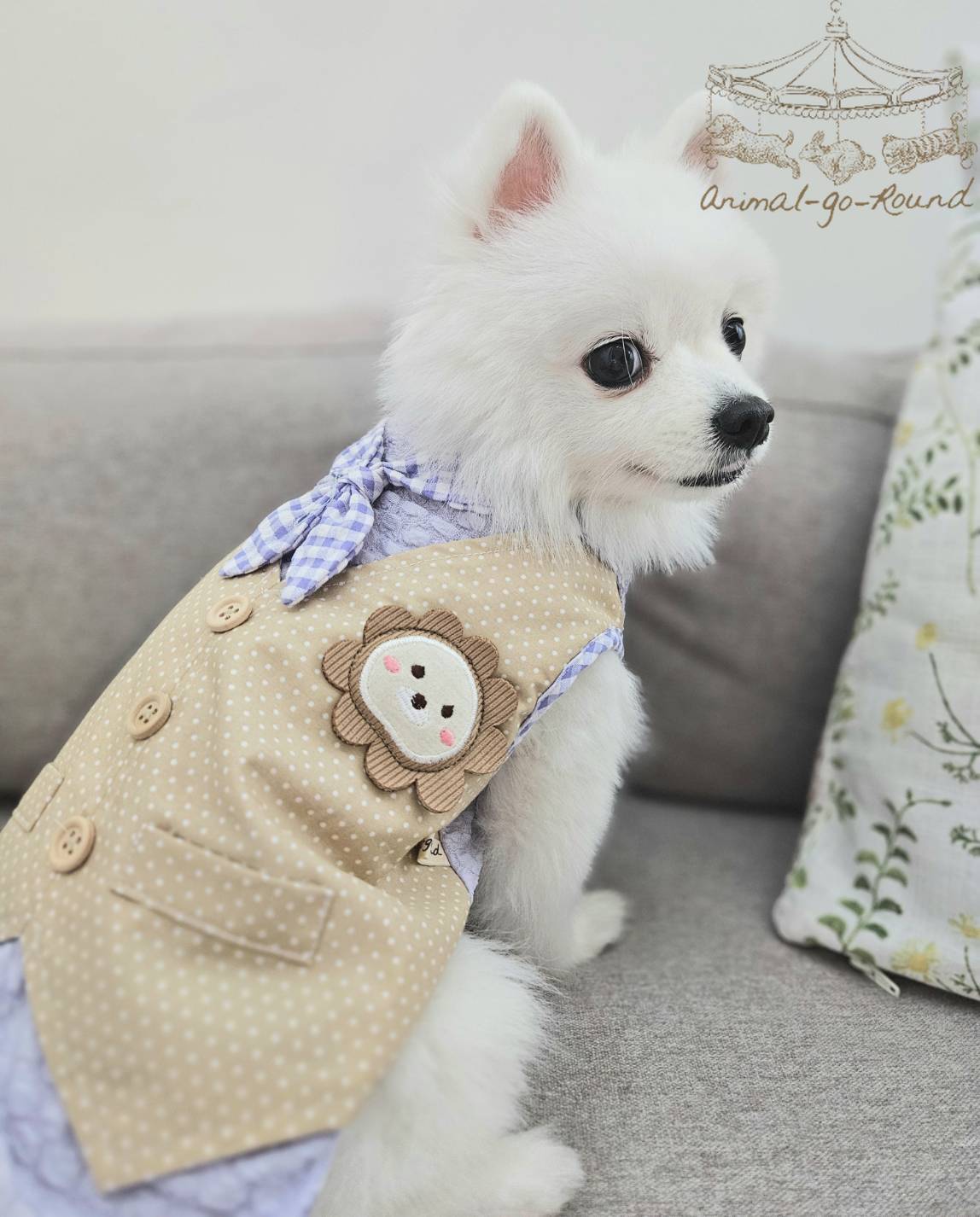 Animal-Go-Round เสื้อผ้าเครื่องแต่งกาย สัตว์เลี้ยง, หมา, แมว, สุนัข รุ่น Smiley Simba ราคา 650 บาท*ส่งฟรี