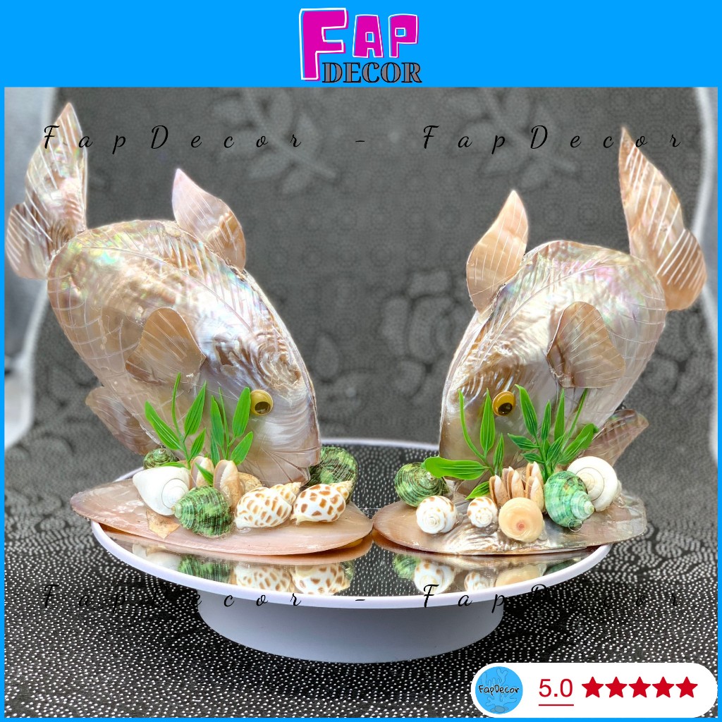 Vỏ sò ốc mài xà cừ làm hình con cá chim biển, cá chim xà cừ 7 màu hàng vnxk cao cấp - fapdecor