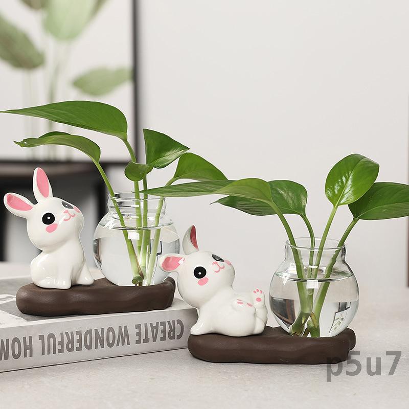 Bình thủy sinh Thỏ dễ thương bình thủy tinh Trồng cây để bàn bình thủy canh bằng gốm bình thủy tinh Trồng nước tượng thỏ bình thủy tinh tròn để trồng cây thủy canh tại nhà văn phòng