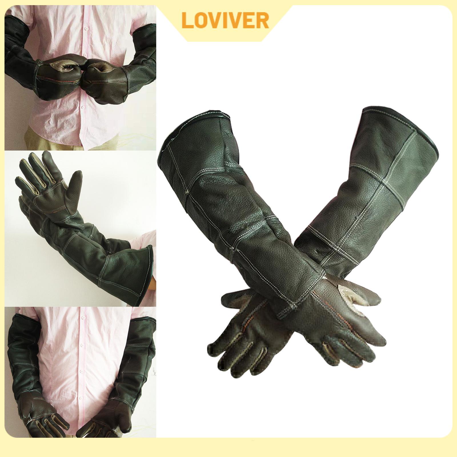 อุปกรณ์และอาหารสัตว์เลี้ยง Loviver ถุงมือจับสัตว์ ถุงมือ ถุงมือนก สำหรับนกแก้ว ป้องกันการกัด ราคา 4,077 บาท*ส่งฟรี