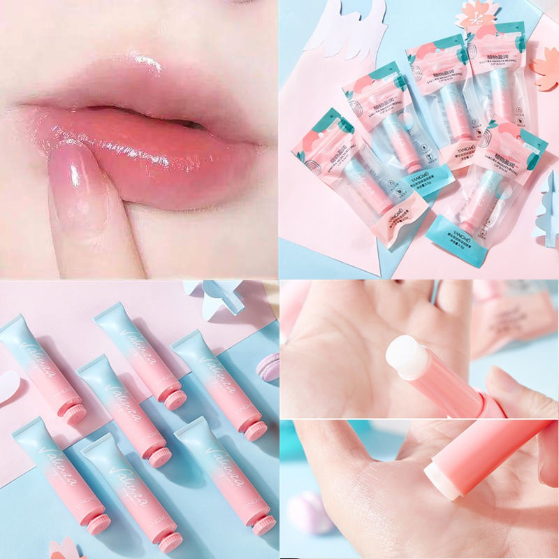 Son dưỡng môi sakura yangmei 8870 xanh hồng chính hãng nội địa