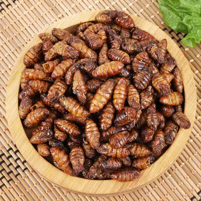 Spicy instant silkworm pupa 110g cooked silkworm pupa cocoon pupa high protein crispy silkworm pupa