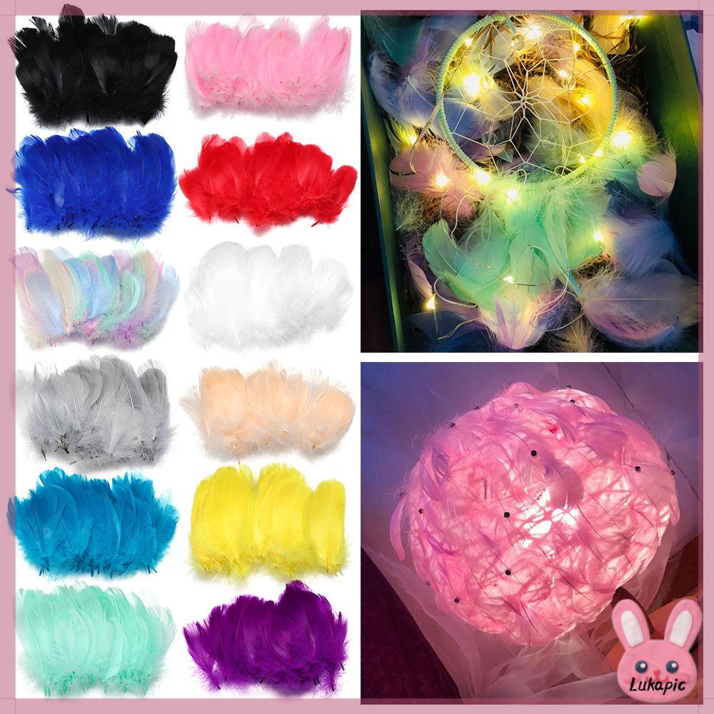 LUKAPIC 50pcs Thời trang Màu tự nhiên Tự làm Lông ngỗng Trang phục trang phục Lông vũ đầy màu sắc Trang trí nhà cửa