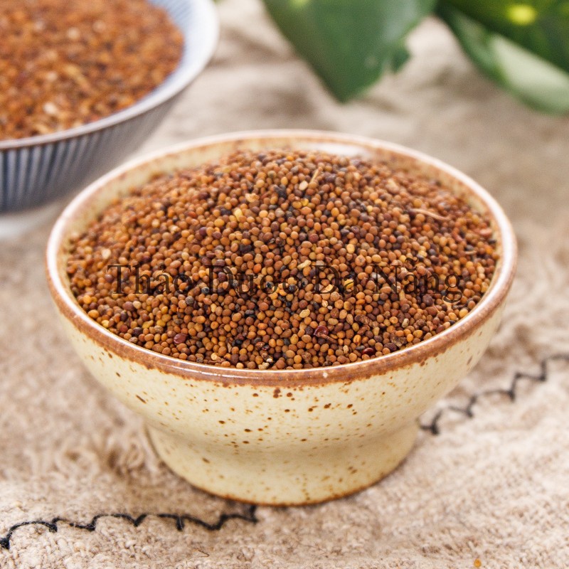 Thỏ ty tử loại 1 vàng đẹp 100 gram. khang chính đường .