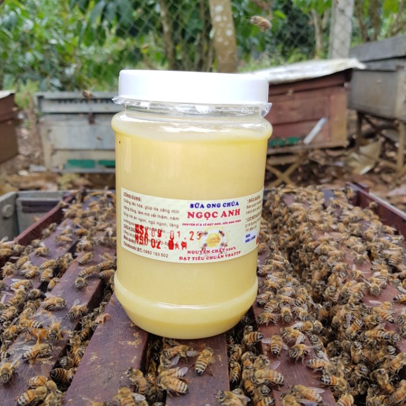 500gr sữa ong chúa tươi nguyên chất 100%