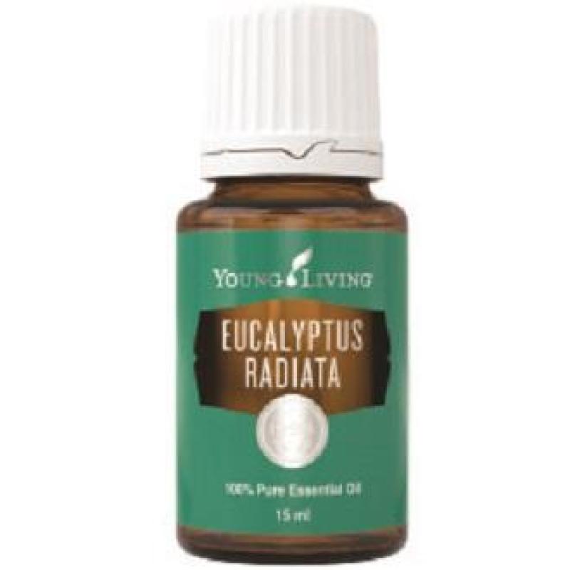 Buy Young Living Eucalyptus Radiata Essential Oil 15ml Singapore