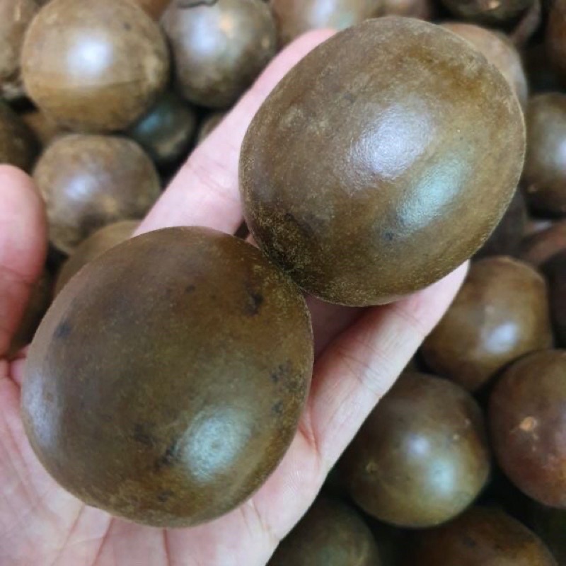 2 trái la hán quả lớn