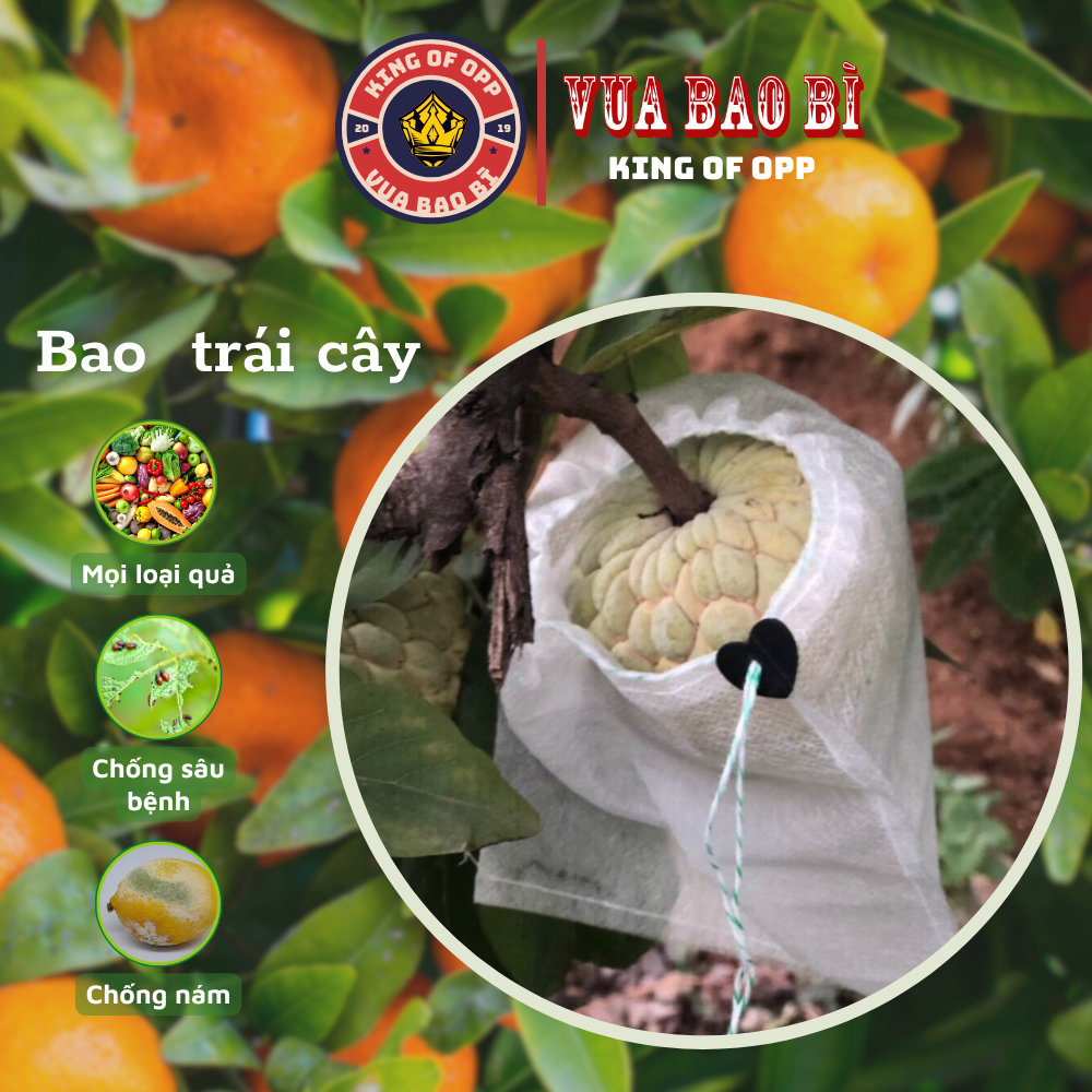  100 Túi bọc trái cây ổi bưởi xoài na mít mướp nhiều kích thước dùng 3-5 mùa - VUA BAO BÌ 