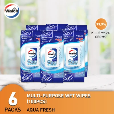 Walch Multi-Purpose Wet Wipes (100 sheets x 6 packs)