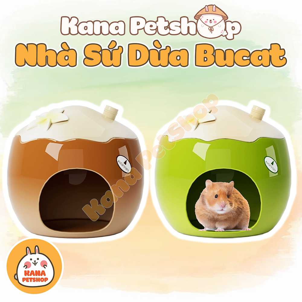 Nhà Ngủ Sứ Hamster Bucatstate 🐹FREESHIP🐹 Nhà Sứ Dừa - Coconut Giảm Nhiệt Mùa Hè Giúp Hamster Mát Mẻ