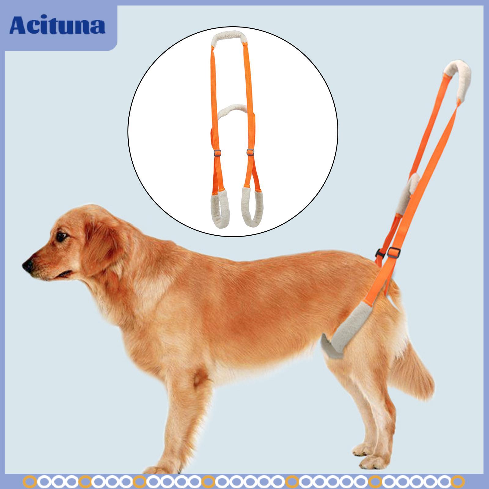 Portable Dog Lifting Harness Pets Back Hip Support Breathable for Older Dogs Weak Legs Easy to Adjust Relieve Walking Pain ราคา 3,405 บาท*ส่งฟรี