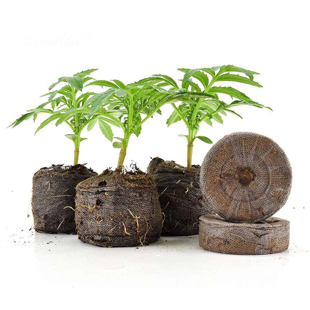 Kỳ nghỉ giảm giá thoáng khí 5 pcs hữu cơ hoa bonsai khối Rau Vườn Ươm đất cây giống đất đất than bùn thực phẩm thực vật