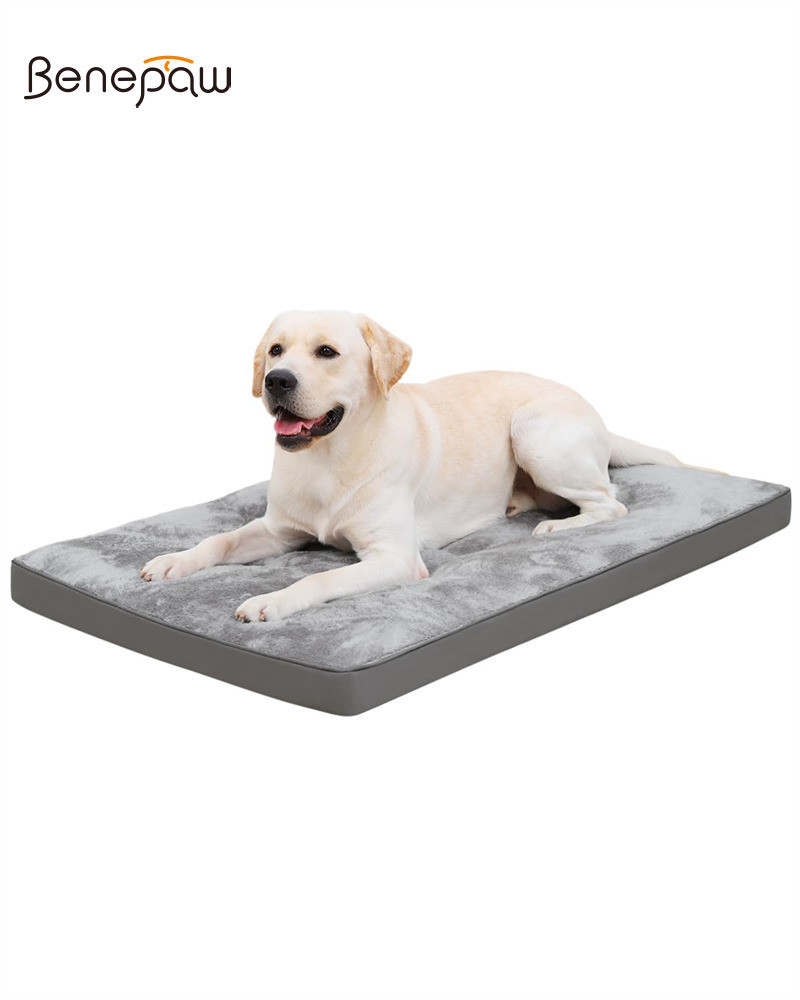 Benepaw Soft Plush Dog Crate Bed Comfortable Cushioned Support Non-Slip Bottom Portable and Machine Washable Pet Bed Ideal for Crates Picnics and Travel ราคา 831 บาท*ส่งฟรี