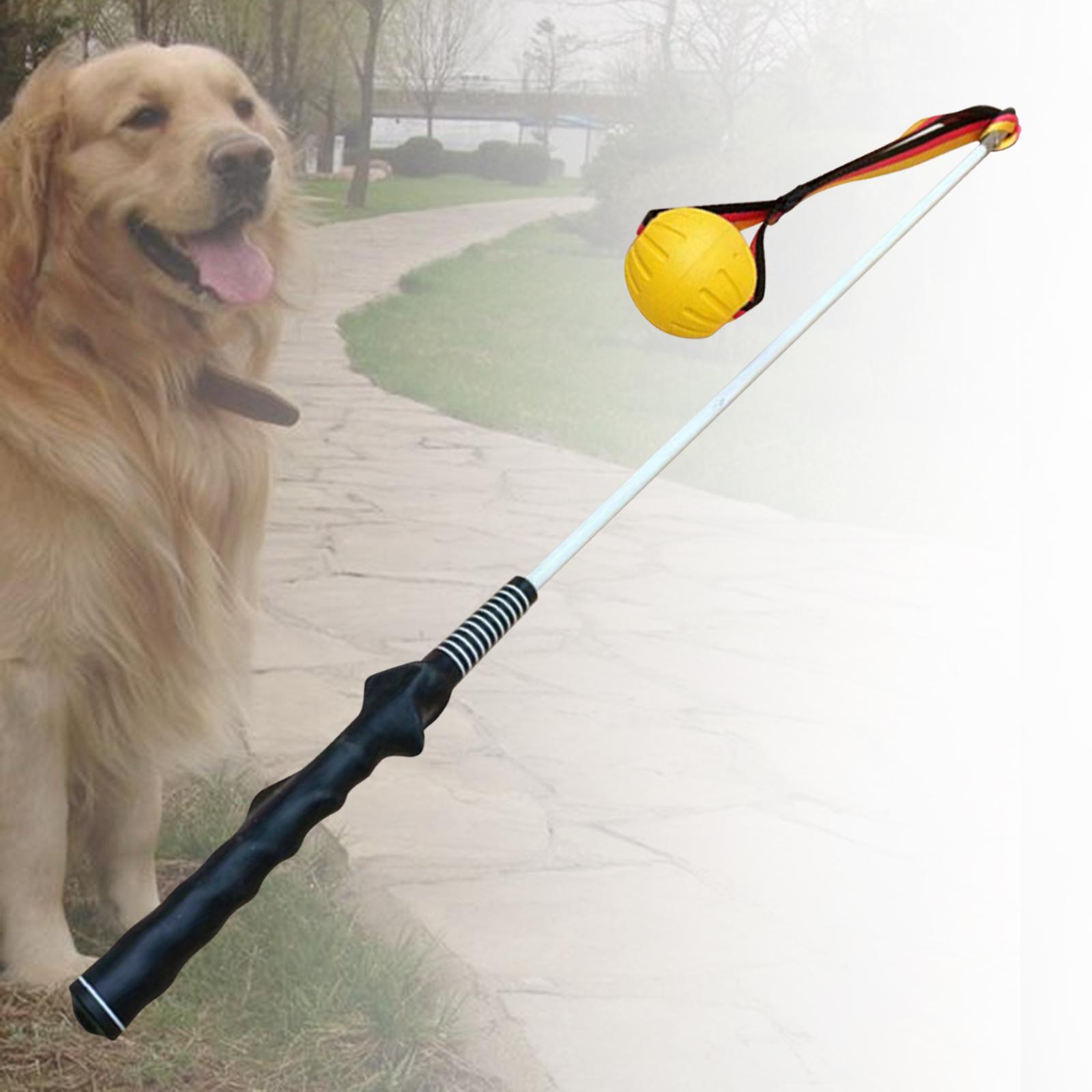 Meowhouse Flirt Pole for Dogs Tug of War Rope Toy Tool Long with Chewing Toy Large Breed Dog Teaser Wand Dog Catcher Pole for Outside Training Playing