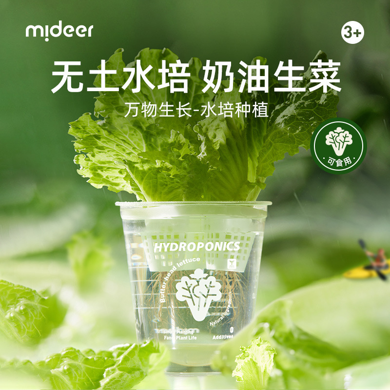 Mideer Milu Hydroponic Lettuce Plant Growth Observation Box Children's Toy Science Experiment Educat