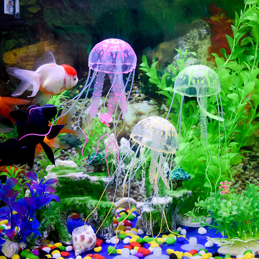 Small Aquarium Net ราคาถูก ซื้อออนไลน์ที่ - เม.ย. 2024