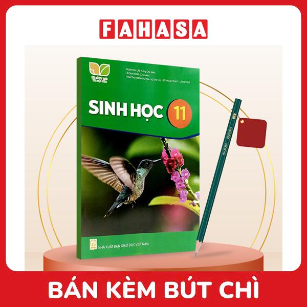 Sách Giáo Khoa Sinh Học 11 (Kết Nối) (Chuẩn) - Kèm Bút Chì