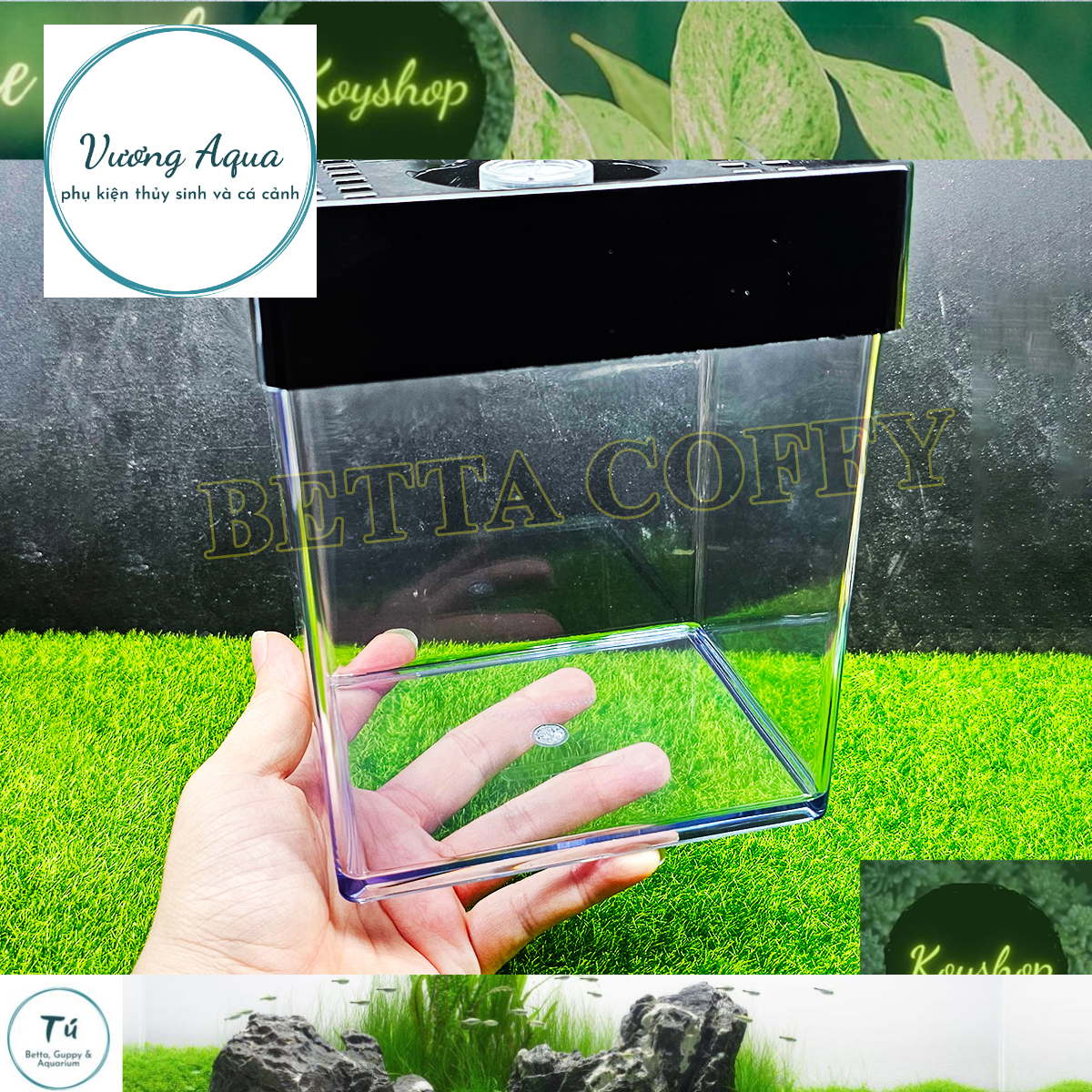 VuongAqua- Hồ nhựa  Bể Cá Mica 15x12x15c 18x13x15  Nuôi Cá Betta Guppy Mini - Hồ Show Nuôi Cá Cảnh n