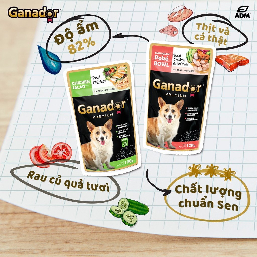 (Chính hãng) Thức ăn ướt Pate Ganador cho chó mọi lứa tuổi vị gà, cá hồi gói 120g