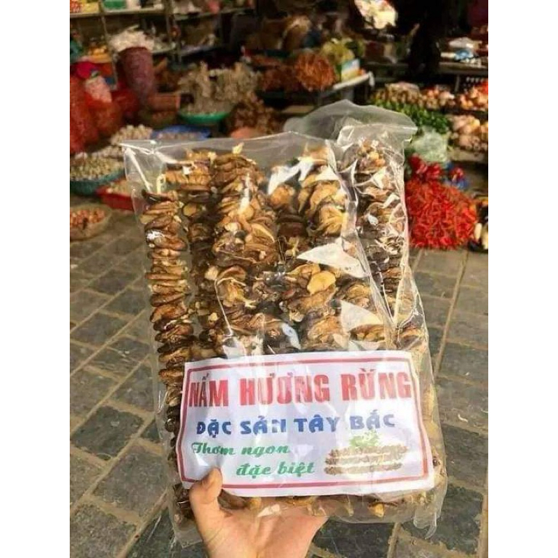 Nấm hương rừng