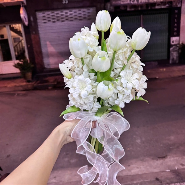 Hoa cầm tay cô dâu dạ lan hương trắng mix tulip mẫu mới t1/2026