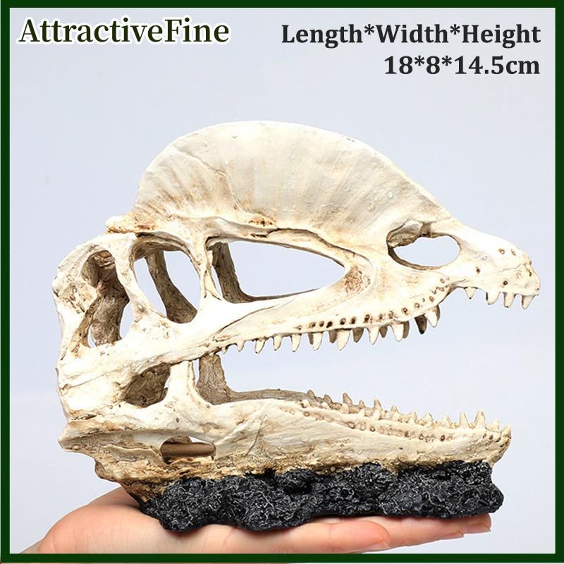 AttractiveFine Mô phỏng nhựa động vật hộp sọ trang trí tự làm bể cá bể cá phụ kiện trang trí sáng tạo hộp sọ cảnh quan bể cá trang trí - 5