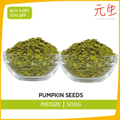 Pumpkin Seeds 500g Healthy Snacks Wholesale Quality