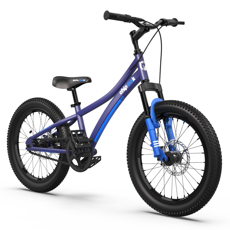 girls 20 inch bike with basket