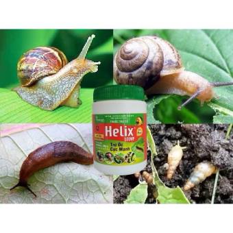 Helix 500WP - Thuốc Diệt Ốc Sên, Ốc Bưu Vàng và Các Loại Sên Nhớt Hại Cây Trồng Trong Vườn - Dạng Phun Chai 50Gr