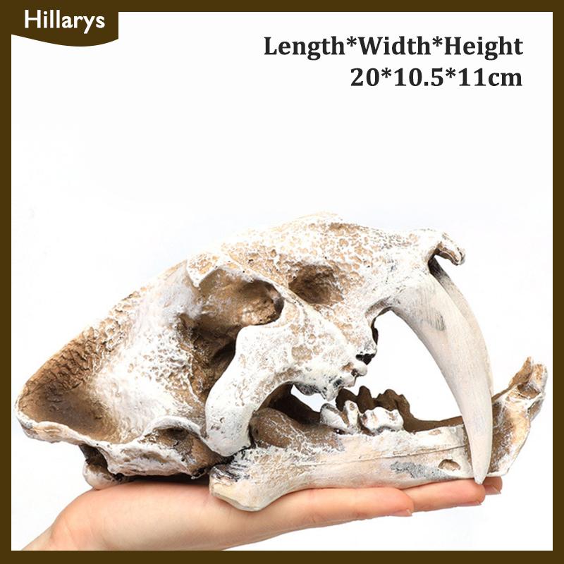 [Hillarys] Mô phỏng nhựa động vật hộp sọ trang trí tự làm bể cá bể cá phụ kiện trang trí sáng tạo hộp sọ cảnh quan bể cá trang trí - 5