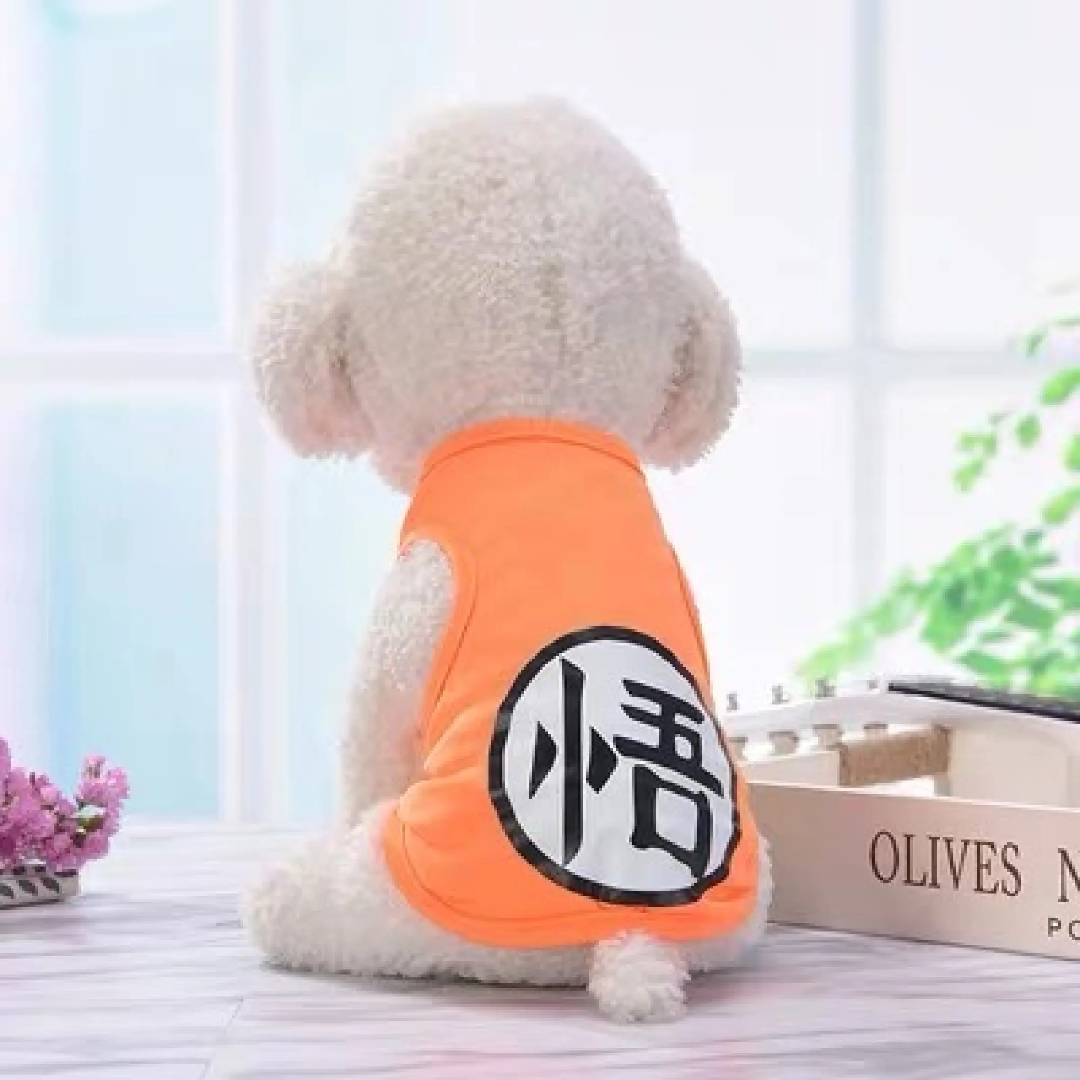 dog bears jersey