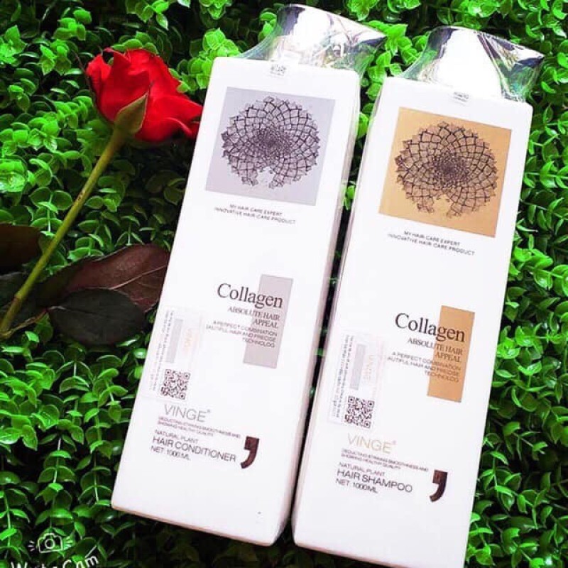 Cặp Dầu Gội Xả Collagen Vinge 1000ML | Giảm Rụng Tóc, Kích Mọc Tóc, Phục Hồi Tóc Hư Tổn | Hàng Chính Hãng giá rẻ