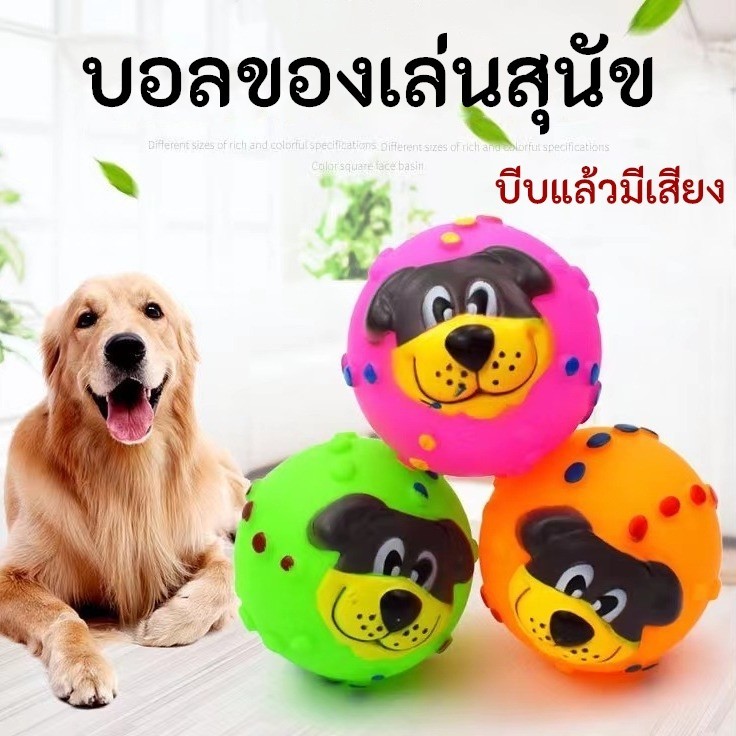 ของเล่นที่ หมา ชอบ