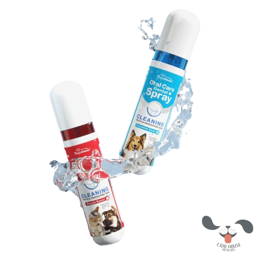 Xịt chăm sóc răng miệng Làm sạch răng hôi miệng Cho Thú Cưng VEGEBRAND 100ML - Lido House Shop & Hotel