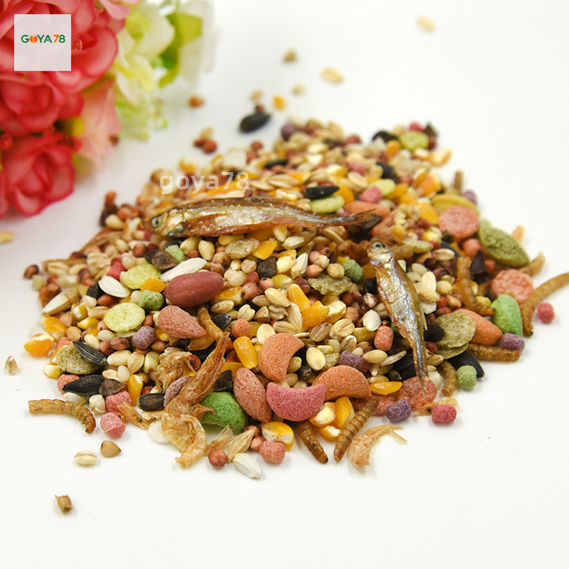 Thức Ăn Hamster Cho Thú Cưng Nhỏ, Hải Sản Tự Chế Biến, Trái Cây Và Rau, Bánh Mì, Côn Trùng, Sản Phẩm Gấu Vàng