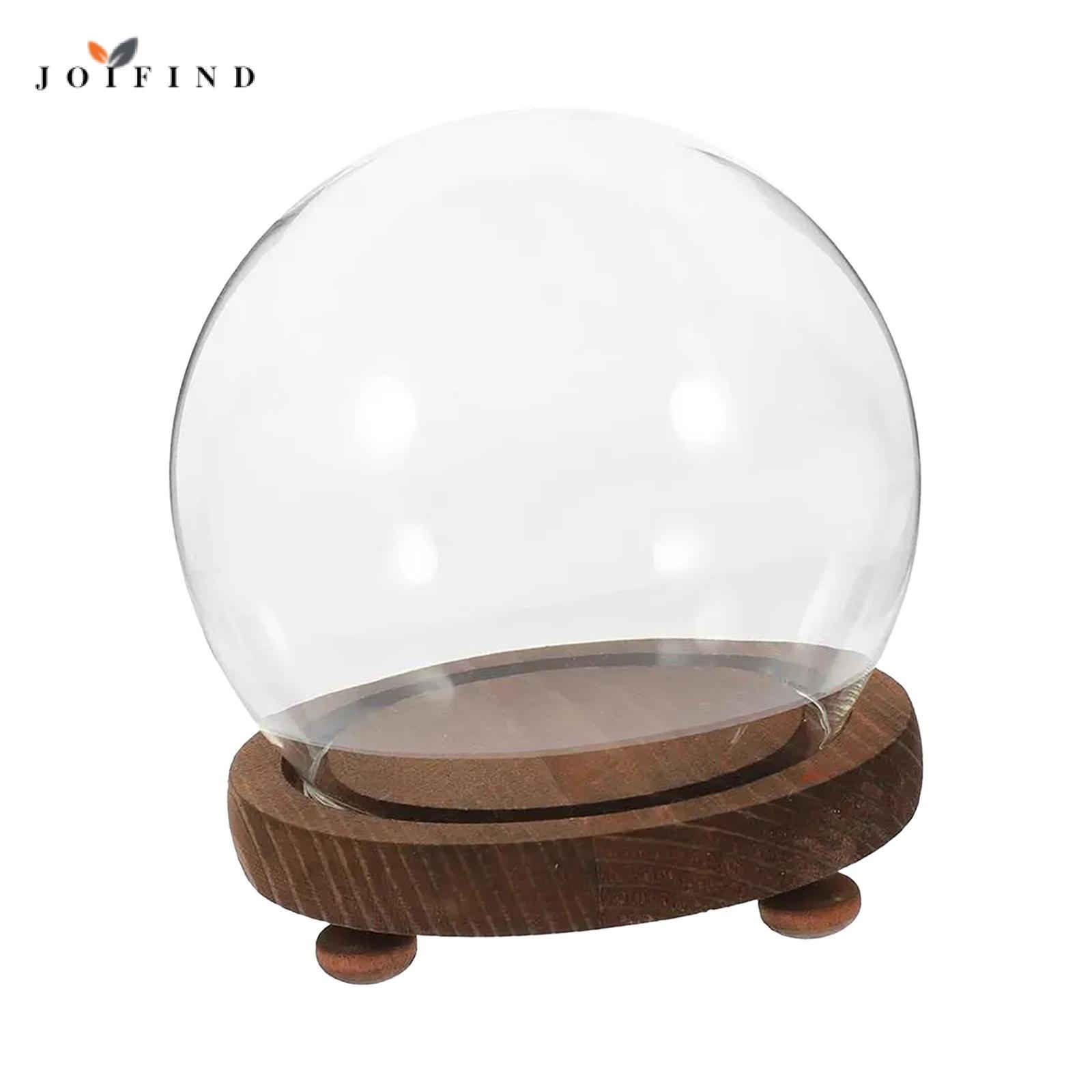 Homyl Clear Glass Display Case, Dustproof, Transparent Dome, High-quality Spherical Decorative Stable Plant And Flower Vase, Terrarium for Office And Living ราคา 595 บาท*ส่งฟรี